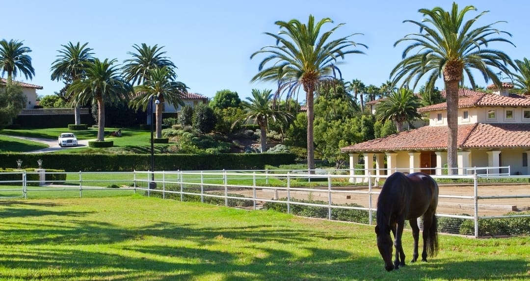 Rancho Santa Fe Horse Property For Sale